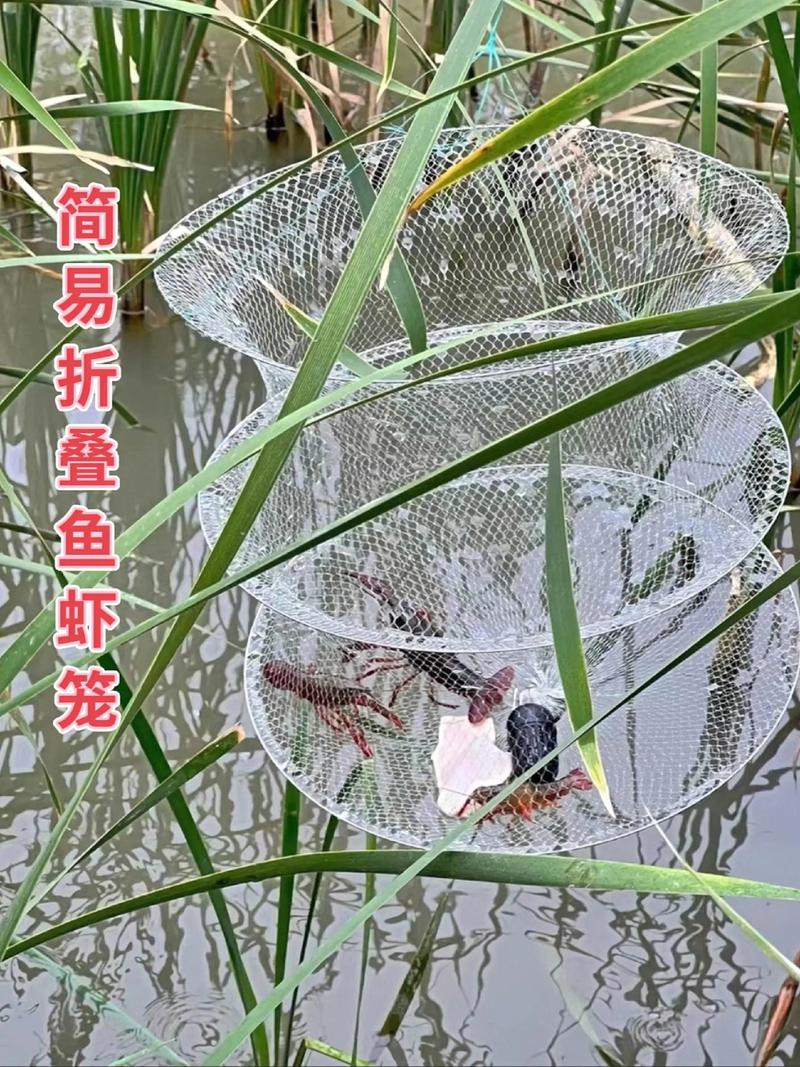 渔网