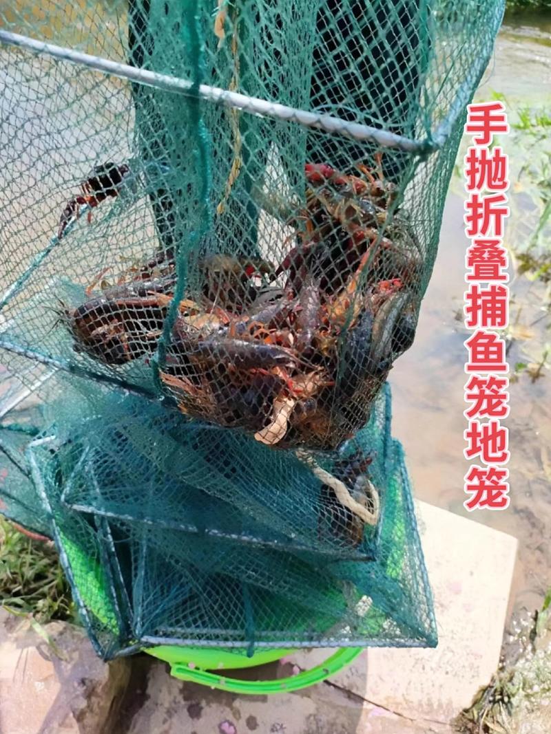 捕具批发
